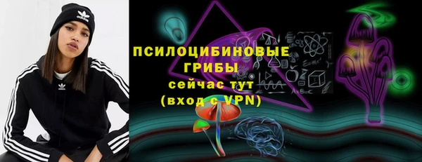 ПСИЛОЦИБИНОВЫЕ ГРИБЫ Абинск