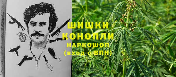 сатива Покровск