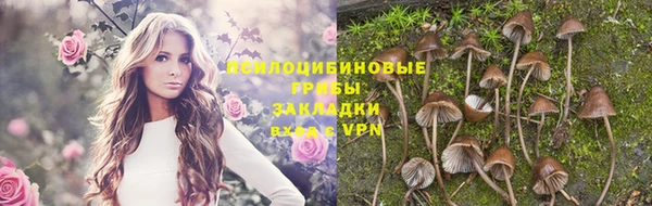хмурый Абдулино