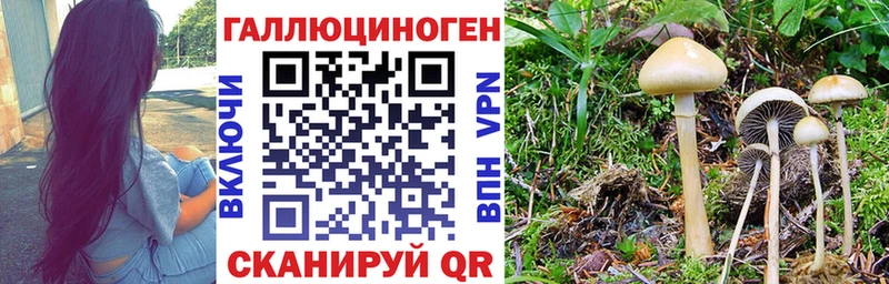 купить  сайты  blacksprut сайт  Галлюциногенные грибы мухоморы  Верхоянск 